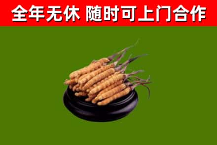 铜仁烟酒回收冬虫夏草.jpg